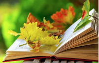 LAS HOJAS DE OTROS LIBROS